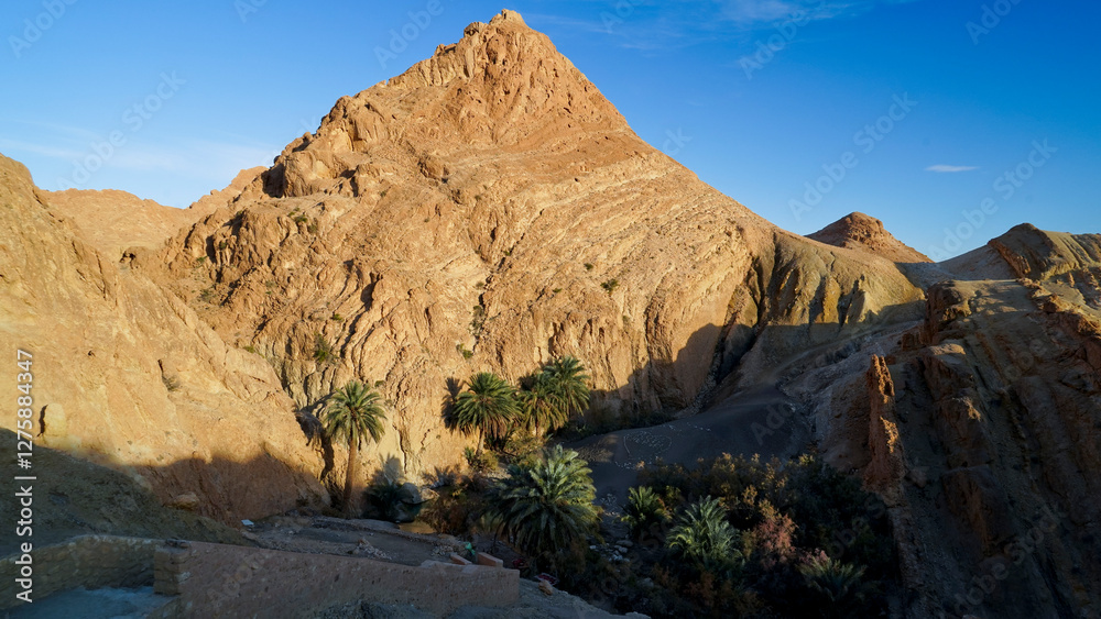 Fototapeta premium Oasi di Chebica con la sorgente di acqua potabile e l'antico villaggio Berbero. provincia di Tozeur,Tunisia