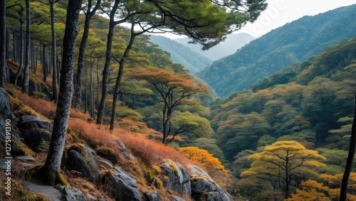 Serene Autumn Landscape of Himehotaru Forests in Mountainous Region with Vibrant Foliage and Rocky Terrain photo