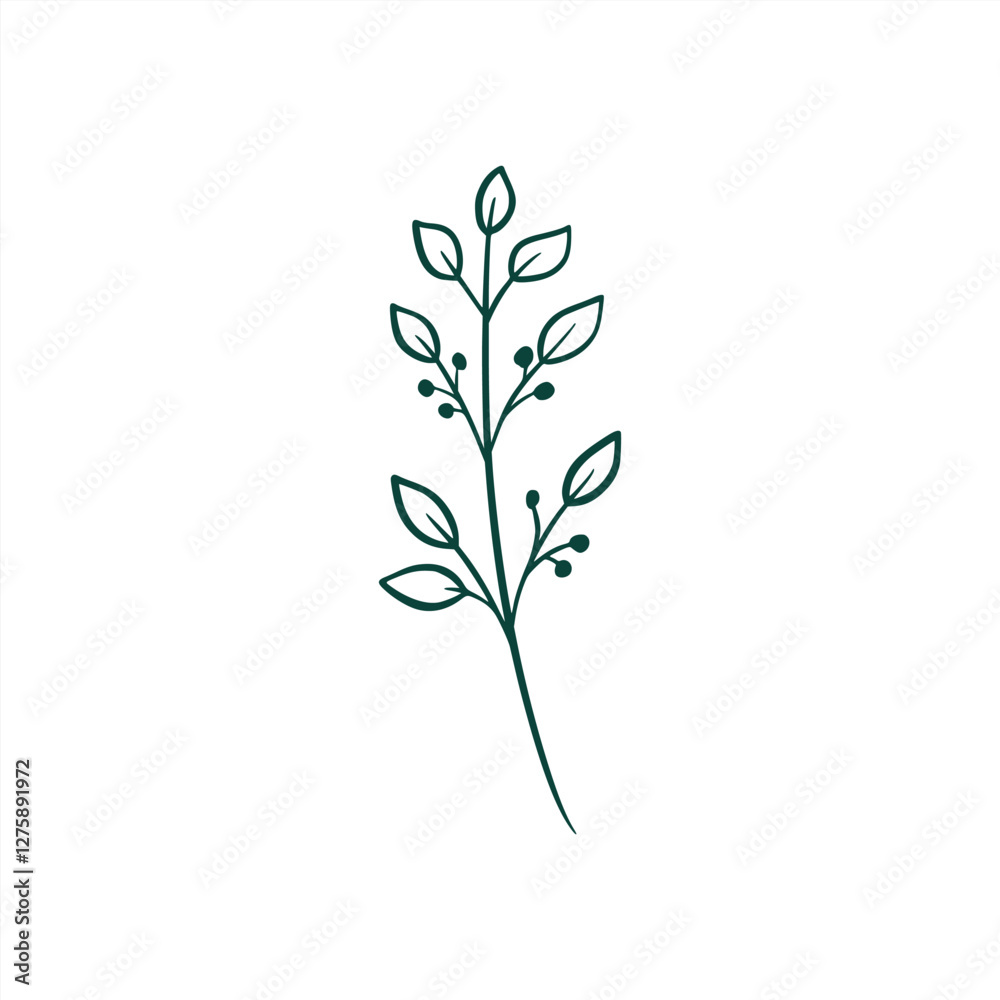 botanical leaf doodle wildflower line art botanical leaf doodle wildflower line art