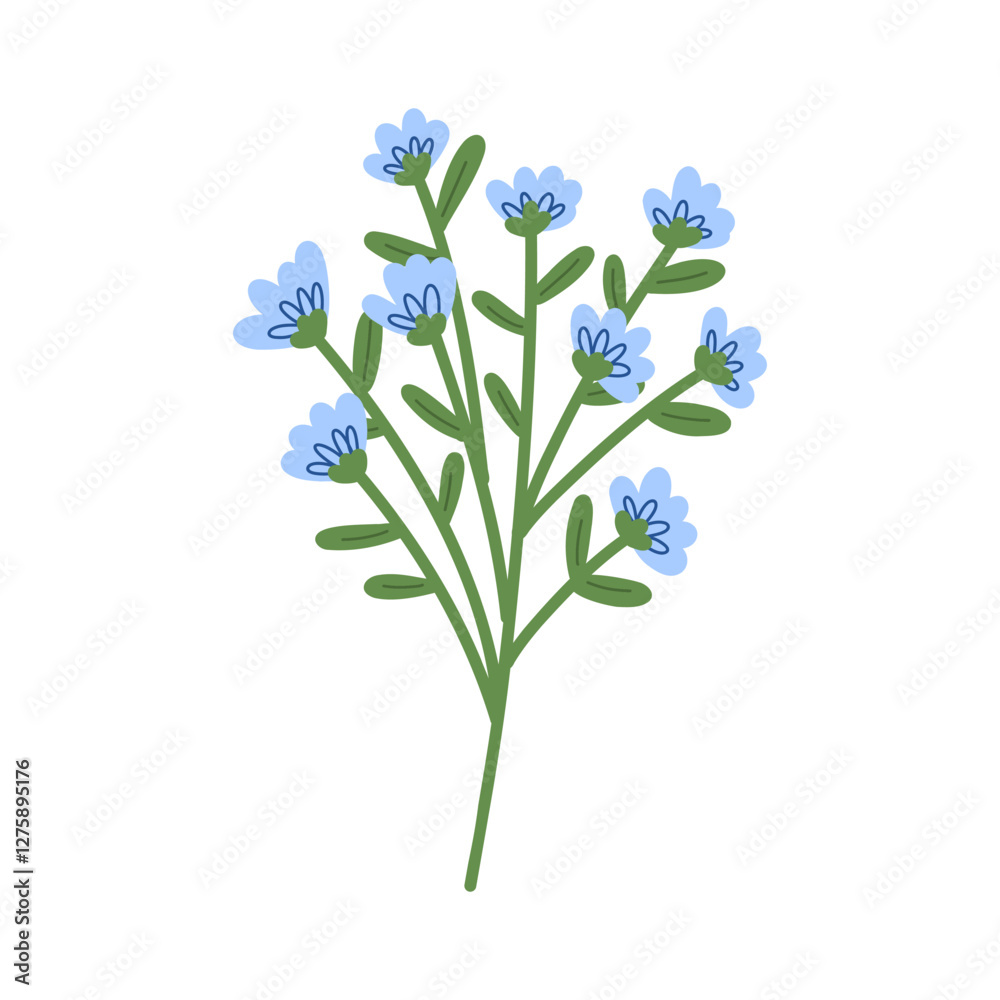 Naklejka premium Hand draw Spring bright flower. Botanical illustration.