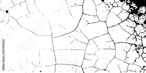 Abstract grunge texture design on a white background. Dirt texture for the background with crack effect. Distressed texture background with black and white colors. Abstract dust texture