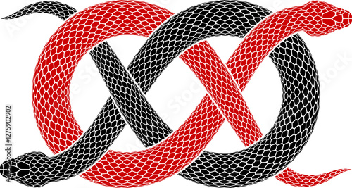 Vector illustration of two snakes intertwined in form of Carrick bend sign. Isolated tattoo design of serpent silhouette of Wake knot symbol.