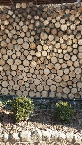 timber, tree, nature, abstract, texture, pattern, textured, heap, firewood, dry