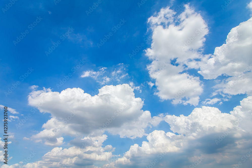 Fototapeta premium Nature Blue Sky and Cloud
