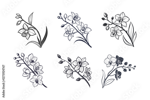 Orchid (Orchidaceae family) silhouette vector illustration