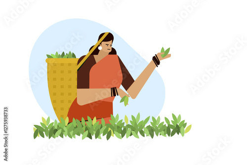 Indian woman plucking tea leaves from a plantation
