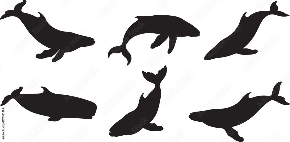 Fototapeta premium Whale silhouette