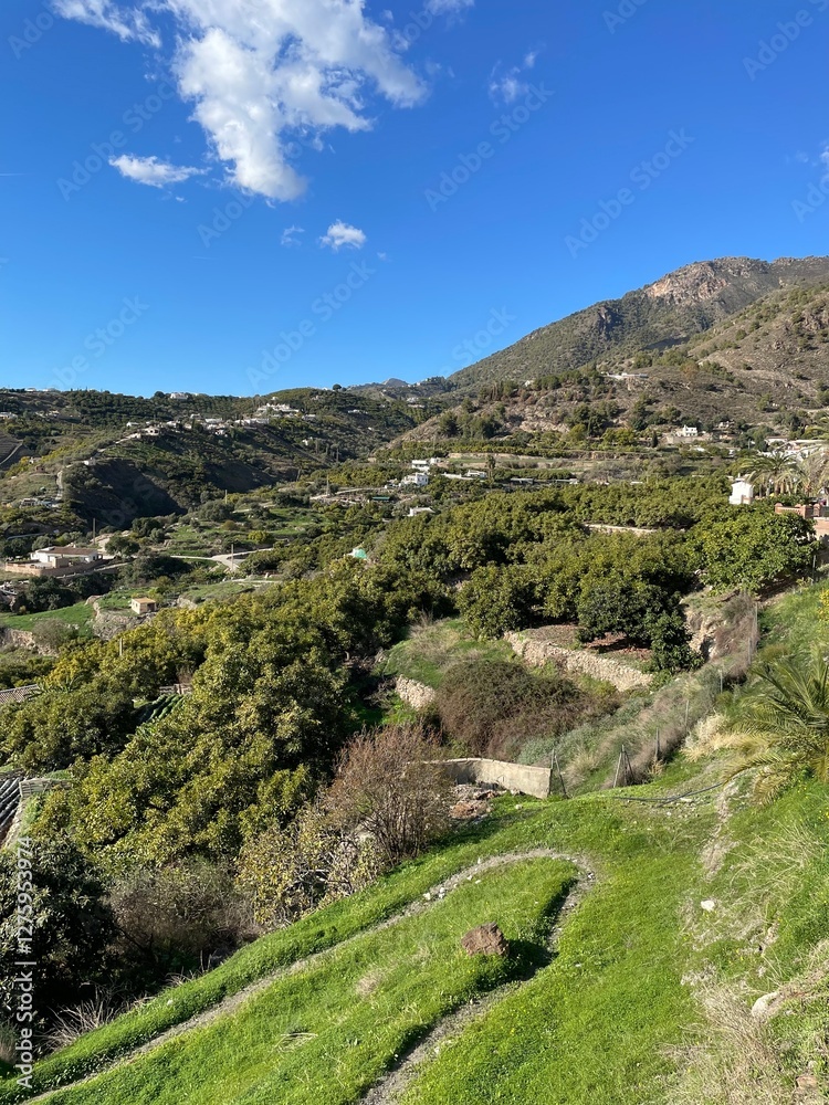 Naklejka premium mountain road in the mountains
