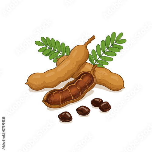 Tamarind Illustration with Pods, Seeds, and Green Leaves Isolated on White