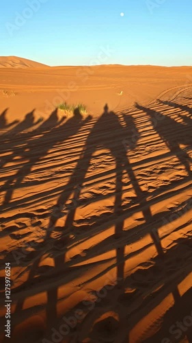 merzouga desert in morocco with camel caravan shadows on golden sand dunes at sunset 