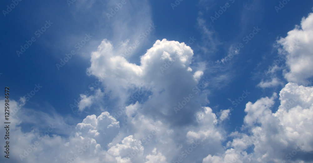 Fototapeta premium The vast blue sky