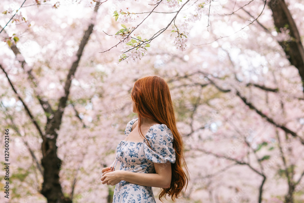 Woman Enjoying Sakura Blossoms in a Tranquil Forest Woman Enjoying Sakura Blossoms in a Tranquil Forest