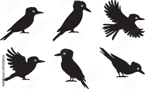 Kookaburra silhouettes