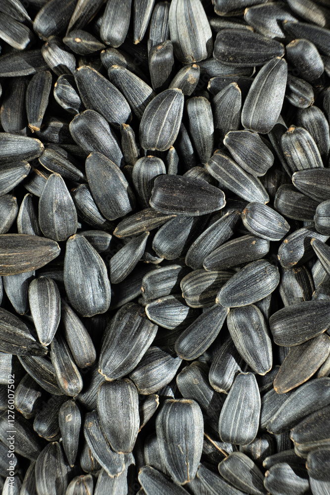 Heap of Roasted Sunflower Seeds Food Texture Top View Heap of Roasted Sunflower Seeds Food Texture Top View