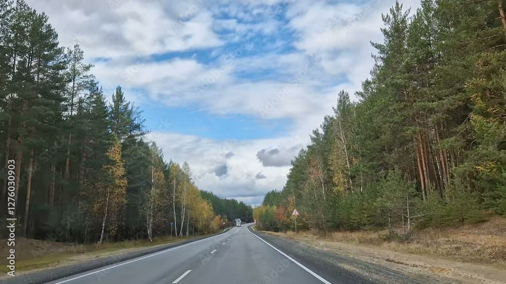 The car is walking along a scenic road. Dense forest near the highway. The car is walking along a scenic road. Dense forest near the highway.