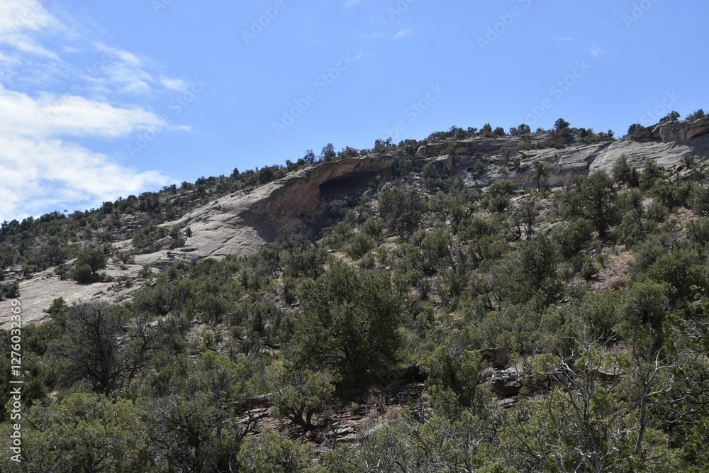 Rocky hillside with lush greenery under a blue sky. Colorado National Monument, USA Rocky hillside with lush greenery under a blue sky. Colorado National Monument, USA