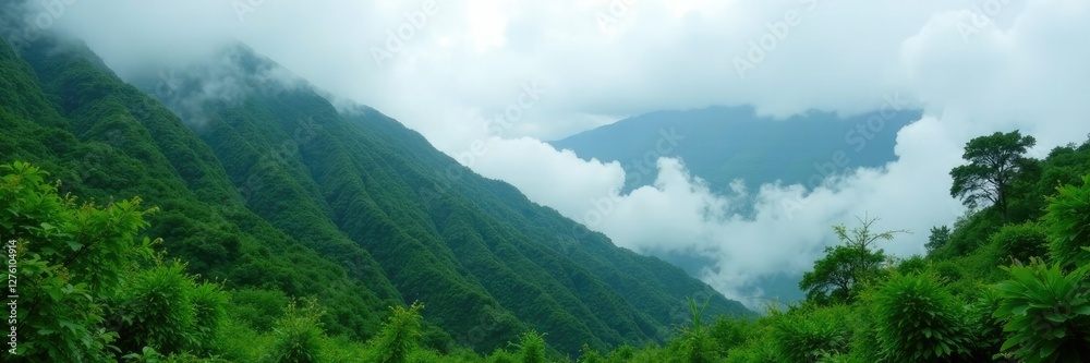Naklejka premium Misty mountainside blanketed with lush foliage, misty, landscape