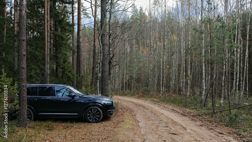 A short stop during a autumn road trip. The car is parked beside a dirt road on a sandy forest soil strewn with fallen leaves. There is a mixed forest all around. There are yellow leaves on the trees