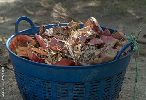 Obraz na płótnie Dry leaves trash in Blue plastic basket to hold Rubbish in Public park. use it as your Space for text, Design, Wallpaper and Poster, Selective focus. w salonie