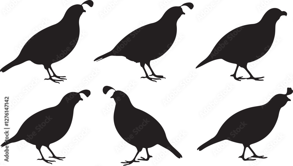 Quail silhouettes Quail silhouettes