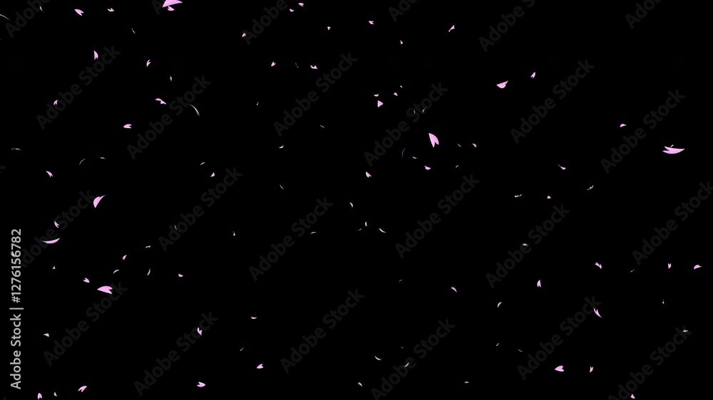 Some pink cherry petals falling sideways slowly from left to right on black background. Abstract background with a scene of Spring time in Japan.