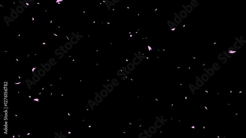 Some pink cherry petals falling sideways slowly from left to right on black background. Abstract background with a scene of Spring time in Japan.