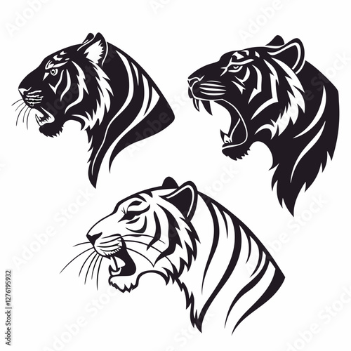 tiger vector illustration