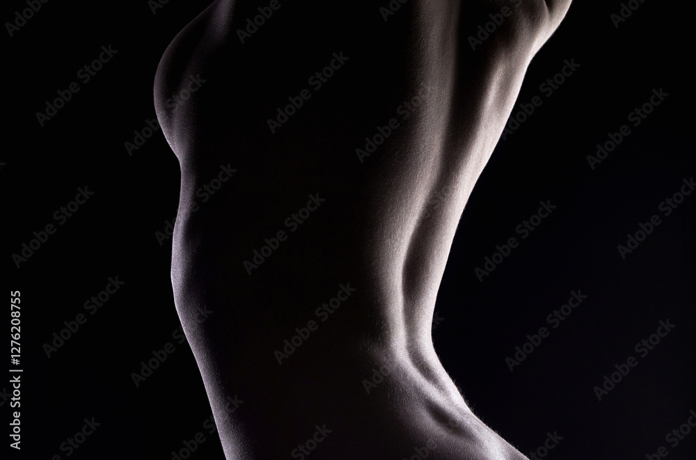 Naklejka premium Naked silhouette. Beautiful Sexy body. girls Back
