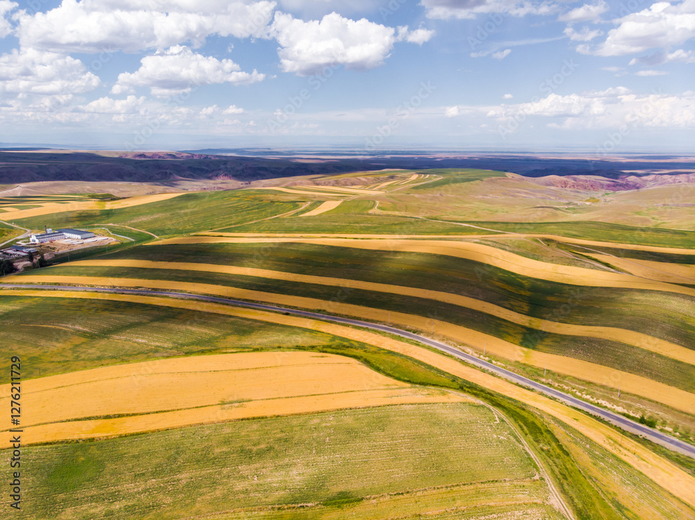 Obraz premium road, landscape, sky, field, nature, country, summer, grass, clouds, rural, countryside, way, travel, horizon, green, asphalt, hill, path, cloud, highway, land, agriculture, mountain, view, dirt