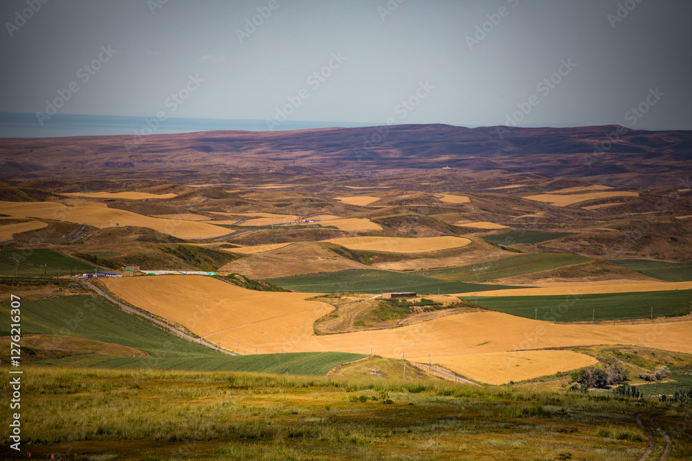 road, landscape, sky, field, nature, country, summer, grass, clouds, rural, countryside, way, travel, horizon, green, asphalt, hill, path, cloud, highway, land, agriculture, mountain, view, dirt road, landscape, sky, field, nature, country, summer, grass, clouds, rural, countryside, way, travel, horizon, green, asphalt, hill, path, cloud, highway, land, agriculture, mountain, view, dirt