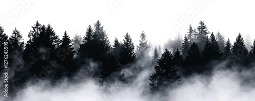black foggy forest isolated on white or transparent png