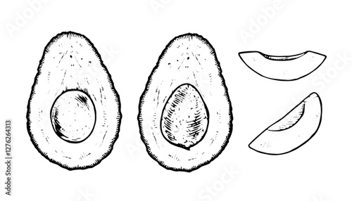 Hand drawn vector illustration of avocado set in black and white, featuring whole and halved fruits. Isolated clipart perfect for organic food and vegan designs. With easily removable background