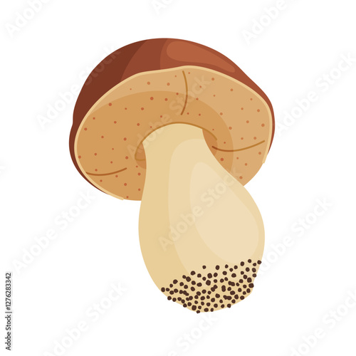 Porcini mushroom. Edible forest mushroom Hand drawn trendy flat style isolated icon. Fresh boletus. Autumn fungus. cep, penny bun, porcino. Botanical Vector illustration 
