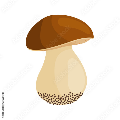 Porcini mushroom. Edible forest mushroom Hand drawn trendy flat style isolated icon. Fresh boletus. Autumn fungus. cep, penny bun, porcino. Botanical Vector illustration 
