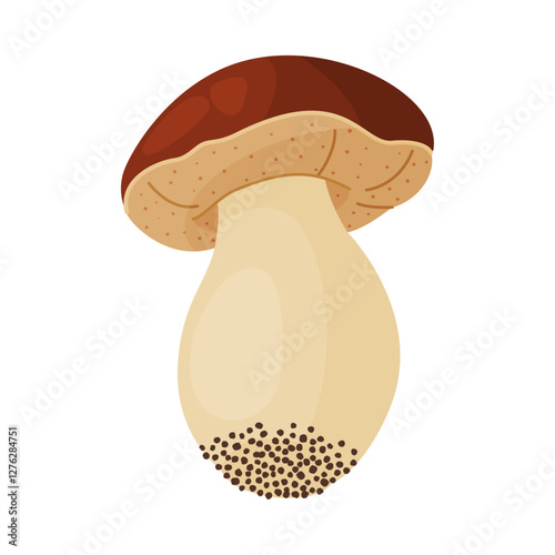 Porcini mushroom. Edible forest mushroom Hand drawn trendy flat style isolated icon. Fresh boletus. Autumn fungus. cep, penny bun, porcino. Botanical Vector illustration 