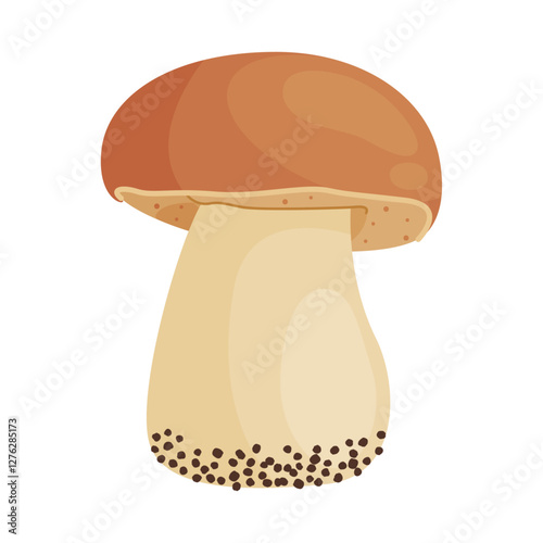 Porcini mushroom. Edible forest mushroom Hand drawn trendy flat style isolated icon. Fresh boletus. Autumn fungus. cep, penny bun, porcino. Botanical Vector illustration 