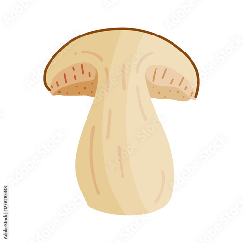 Porcini sliced mushroom. Edible forest mushroom Hand drawn trendy flat style isolated icon. Fresh boletus mushroom slice. Autumn fungus. Botanical Vector illustration 
