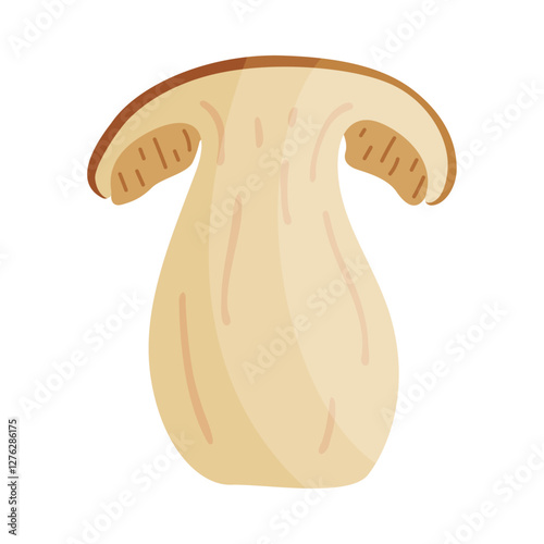 Porcini sliced mushroom. Edible forest mushroom Hand drawn trendy flat style isolated icon. Fresh boletus mushroom slice. Autumn fungus. Botanical Vector illustration 
