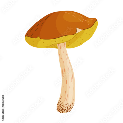 Suillus luteus, yellow mushroom. Edible forest fungus slippery jack or sticky bun. Suillus mushroom or yellow pig Hand drawn trendy flat style isolated icon. Vector illustration