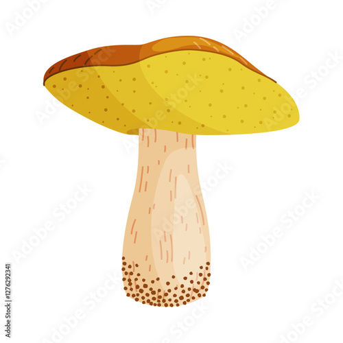 Suillus luteus, yellow mushroom. Edible forest fungus slippery jack or sticky bun. Suillus mushroom or yellow pig Hand drawn trendy flat style isolated icon. Vector illustration