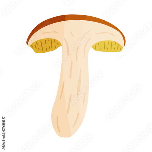 Suillus luteus slice mushroom, yellow mushroom. Edible forest fungus slippery jack or sticky bun. Suillus mushroom or yellow pig Hand drawn trendy flat style isolated icon. Vector illustration