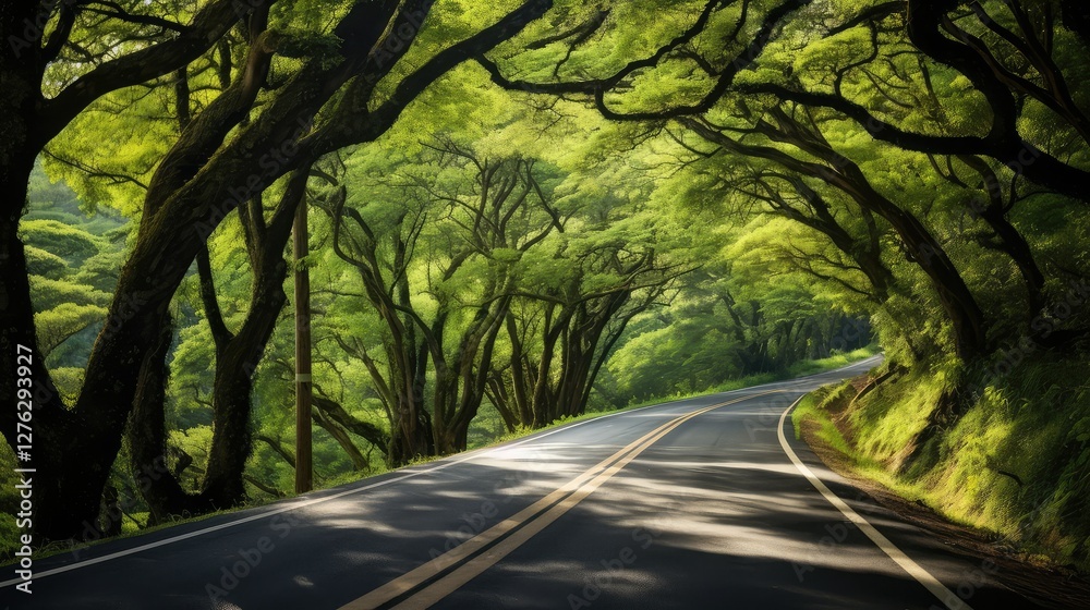 Obraz premium leaves road trees