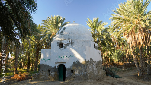 Douz,la porta del deserto, villaggio situato ai margini del Deserto del Sahara. Tunisia photo