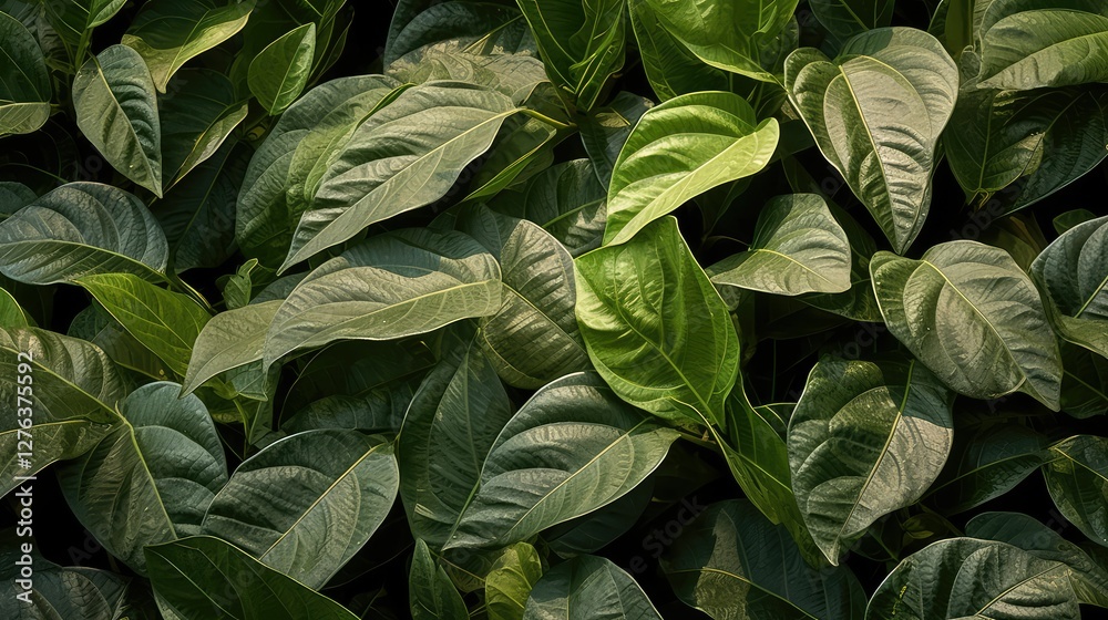custom made wallpaper toronto digitalleaves coffee plant pattern