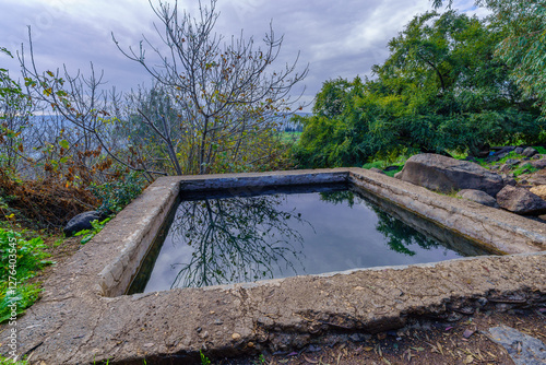 Obraz na płótnie Ein Aya Spring, in the Golan Heights w salonie