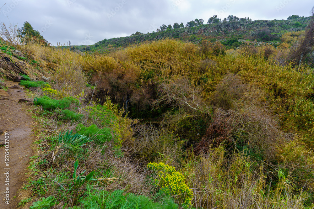El-Al Stream, Golan Heights
