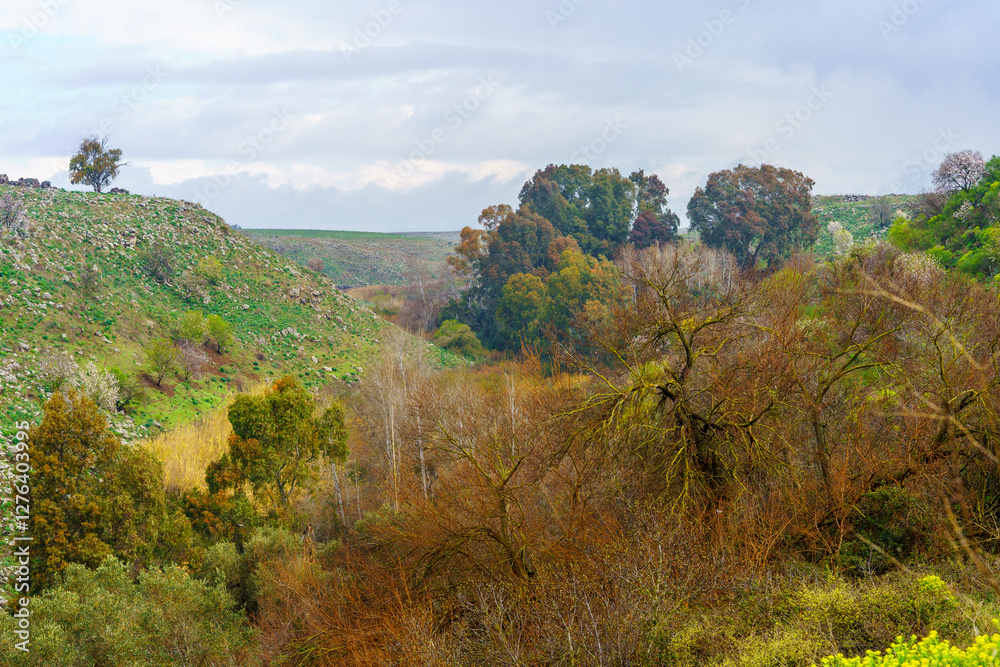 El-Al Stream, Golan Heights