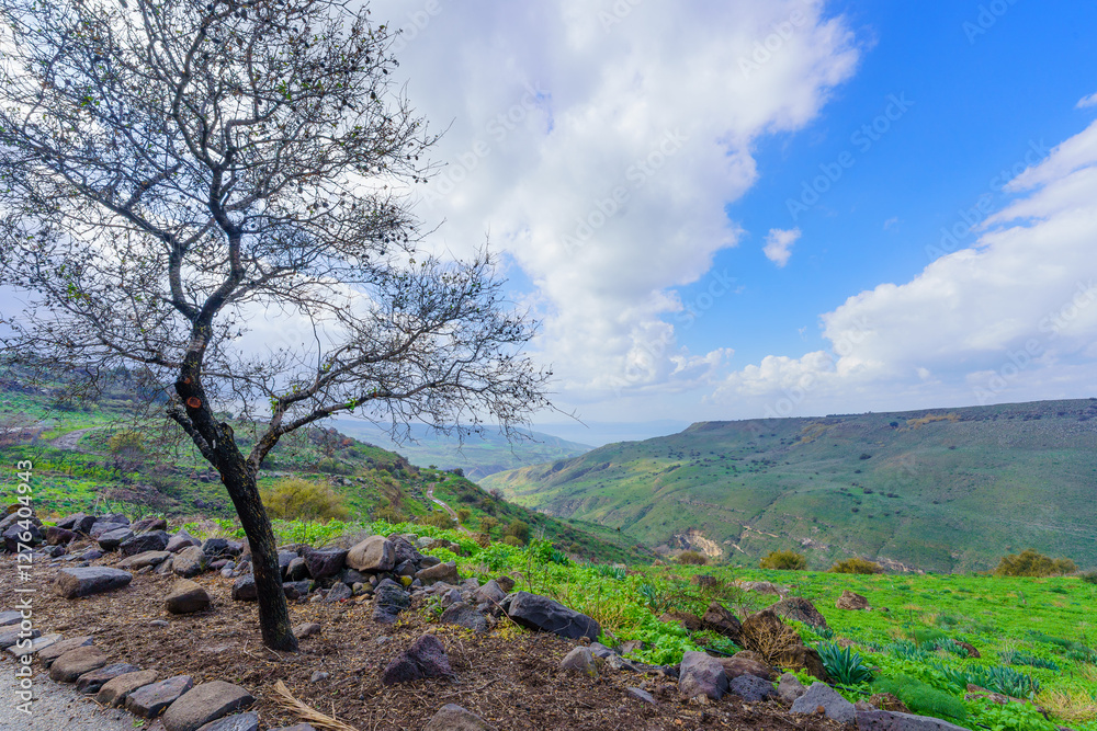 Golan Heights landscape, with Sea of Galilee