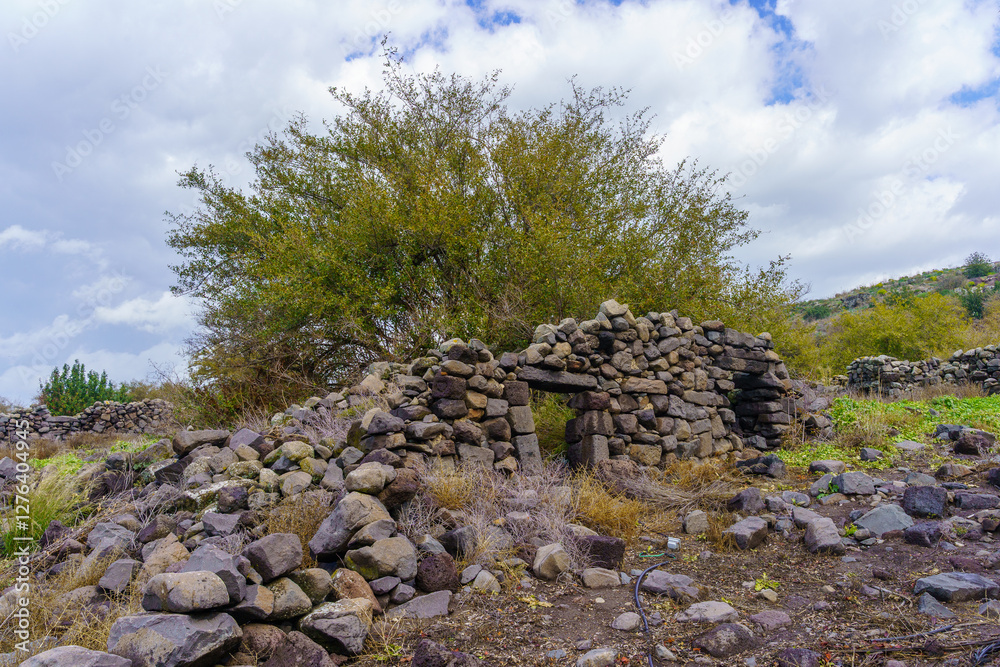 Ancient ruins, Ein Keshatot, Golan Heights