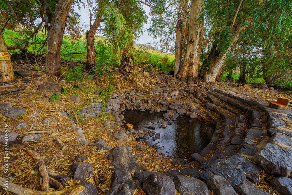 Ein Amphi Spring, in the Golan Heights